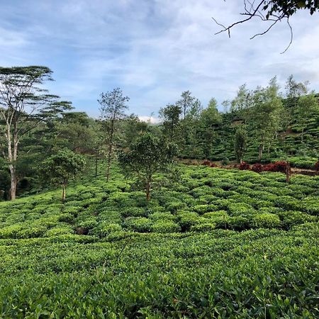 Hotel Parisons Plantation Experiences By Abad Mananthavady Exterior foto