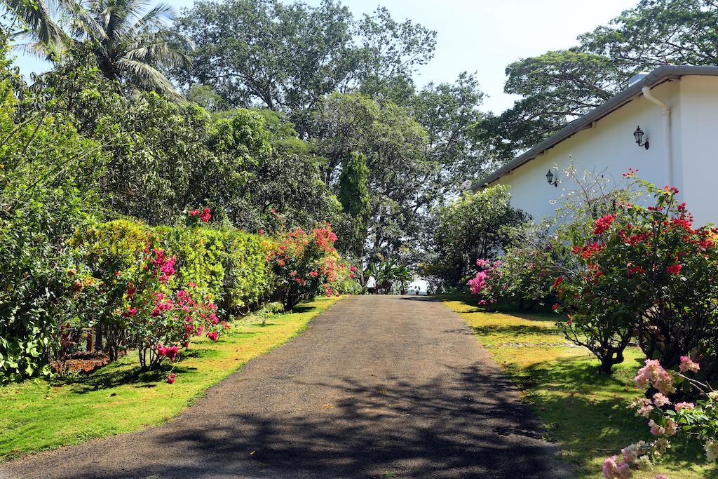 Hotel Parisons Plantation Experiences By Abad Mananthavady Exterior foto